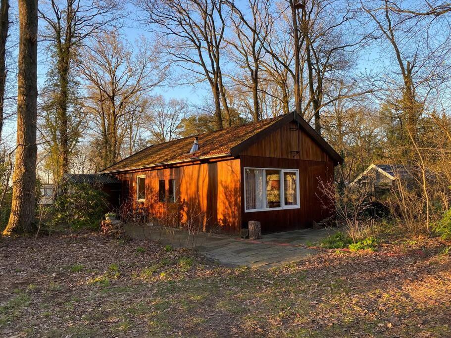 Villa Basic Natuurhuisje Ommen/Beerze Exterior foto